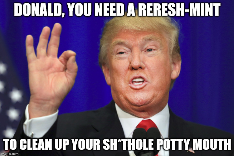 SH*THOLE trump potty mouth | DONALD, YOU NEED A RERESH-MINT; TO CLEAN UP YOUR SH*THOLE POTTY MOUTH | image tagged in shthole trump potty mouth | made w/ Imgflip meme maker