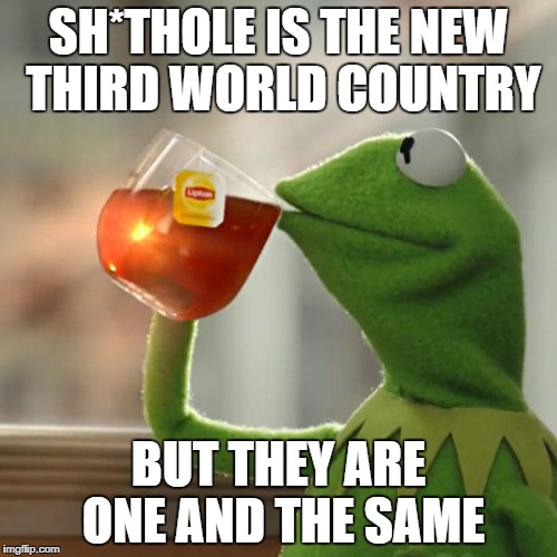 But That's None Of My Business Meme | SH*THOLE IS THE NEW THIRD WORLD COUNTRY; BUT THEY ARE ONE AND THE SAME | image tagged in memes,but thats none of my business,kermit the frog | made w/ Imgflip meme maker