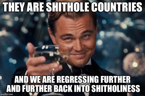Leonardo Dicaprio Cheers Meme | THEY ARE SHITHOLE COUNTRIES AND WE ARE REGRESSING FURTHER AND FURTHER BACK INTO SHITHOLINESS | image tagged in memes,leonardo dicaprio cheers | made w/ Imgflip meme maker