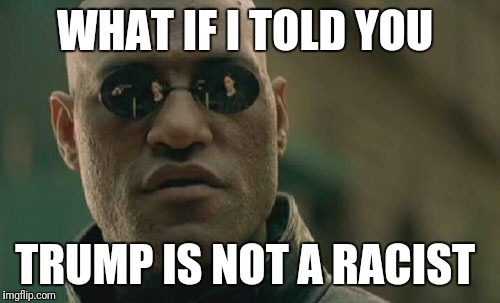 Matrix Morpheus | WHAT IF I TOLD YOU; TRUMP IS NOT A RACIST | image tagged in memes,matrix morpheus | made w/ Imgflip meme maker