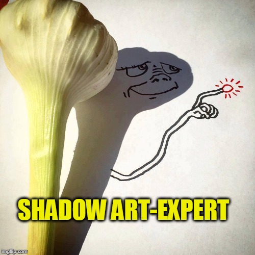ET | SHADOW ART-EXPERT | image tagged in expert | made w/ Imgflip meme maker
