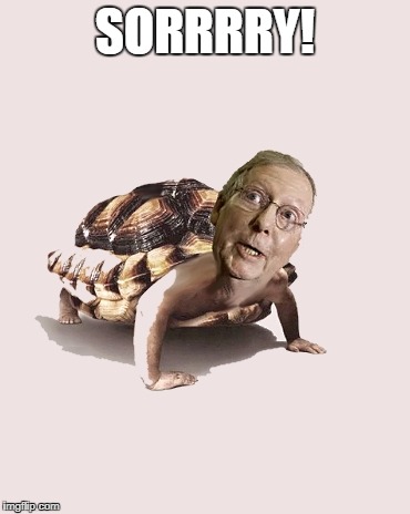 mitch mcconnell | SORRRRY! | image tagged in mitch mcconnell | made w/ Imgflip meme maker