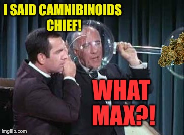 I SAID CAMNIBINOIDS CHIEF! WHAT MAX?! | made w/ Imgflip meme maker