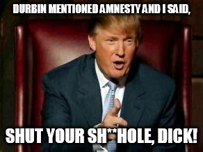 What really happened... | DURBIN MENTIONED AMNESTY AND I SAID, SHUT YOUR SH**HOLE, DICK! | image tagged in donald trump | made w/ Imgflip meme maker