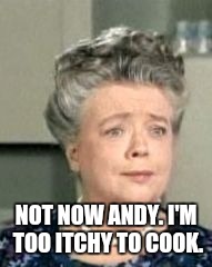 NOT NOW ANDY. I'M TOO ITCHY TO COOK. | made w/ Imgflip meme maker