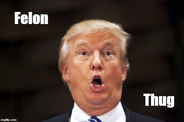Deplorable Donald | Felon; Thug | image tagged in deplorable donald,despicable donald,devious donald,dishonorable donald,deceitful donald | made w/ Imgflip meme maker