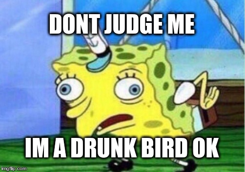 Mocking Spongebob Meme | DONT JUDGE ME; IM A DRUNK BIRD OK | image tagged in memes,mocking spongebob | made w/ Imgflip meme maker