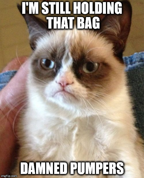 Grumpy Cat Meme | I'M STILL HOLDING THAT BAG; DAMNED PUMPERS | image tagged in memes,grumpy cat | made w/ Imgflip meme maker