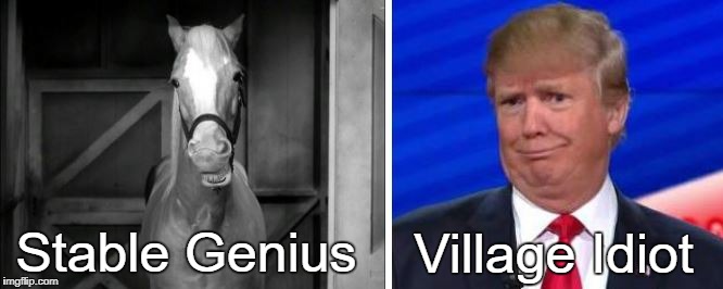 It doesn't take a stable genius to know who the village idiot is! | Village Idiot; Stable Genius | image tagged in stable genius,trump,village idiot | made w/ Imgflip meme maker