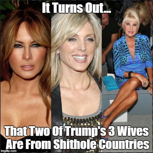 It Turns Out... That Two Of Trump's 3 Wives Are From Shithole Countries | made w/ Imgflip meme maker