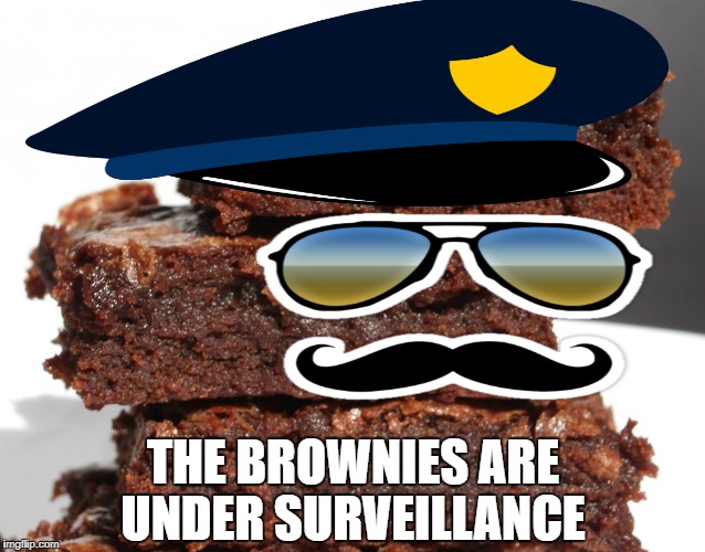 ok the brownies are cool now Imgflip
