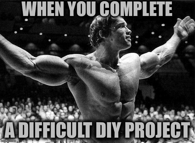 WHEN YOU COMPLETE; A DIFFICULT DIY PROJECT | image tagged in memes,so true,arnold schwarzenegger,diy | made w/ Imgflip meme maker