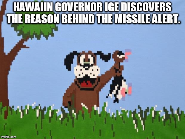 Missile hunt
 | HAWAIIN GOVERNOR IGE DISCOVERS THE REASON BEHIND THE MISSILE ALERT. | image tagged in duck hunt | made w/ Imgflip meme maker