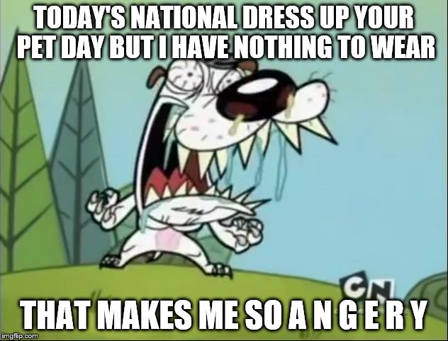 A N G E R Y D O G | TODAY'S NATIONAL DRESS UP YOUR PET DAY BUT I HAVE NOTHING TO WEAR; THAT MAKES ME SO A N G E R Y | image tagged in a n g e r y d o g | made w/ Imgflip meme maker