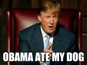 Donald Trump | OBAMA ATE MY DOG | image tagged in donald trump | made w/ Imgflip meme maker
