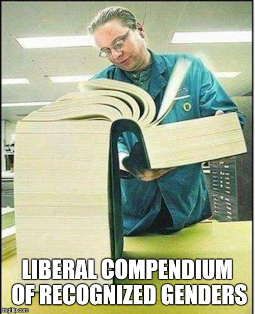 big book |  LIBERAL COMPENDIUM OF RECOGNIZED GENDERS | image tagged in big book | made w/ Imgflip meme maker