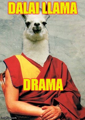 Dalai llama | DALAI LLAMA; DRAMA | image tagged in memes,dalai lama,dalai llama,drama | made w/ Imgflip meme maker