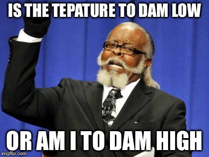 Too Damn High | IS THE TEPATURE TO DAM LOW; OR AM I TO DAM HIGH | image tagged in memes,too damn high | made w/ Imgflip meme maker