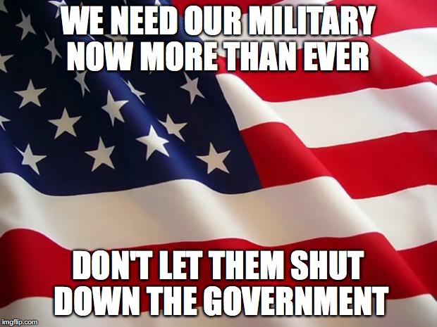 American flag | WE NEED OUR MILITARY NOW MORE THAN EVER; DON'T LET THEM SHUT DOWN THE GOVERNMENT | image tagged in american flag | made w/ Imgflip meme maker