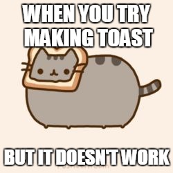 pusheen wanted bread. | WHEN YOU TRY MAKING TOAST; BUT IT DOESN'T WORK | image tagged in pusheen wanted bread | made w/ Imgflip meme maker