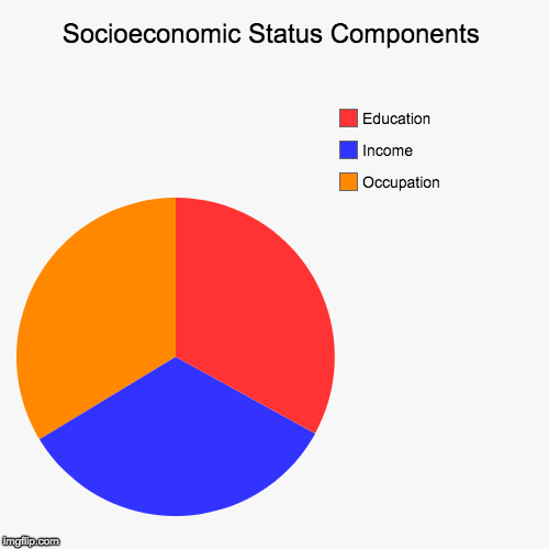               | image tagged in funny,pie charts | made w/ Imgflip chart maker