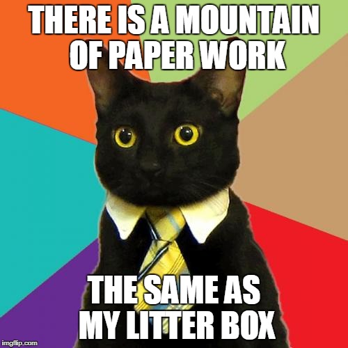 Business Cat | THERE IS A MOUNTAIN OF PAPER WORK; THE SAME AS MY LITTER BOX | image tagged in memes,business cat | made w/ Imgflip meme maker