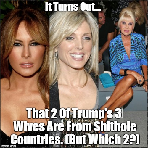 It Turns Out... That 2 Of Trump's 3 Wives Are From Shithole Countries. (But Which 2?) | made w/ Imgflip meme maker