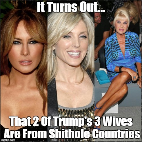 "It Turns Out That 2 Of Trump's 3 Wives...." | It Turns Out... That 2 Of Trump's 3 Wives Are From Shithole Countries | image tagged in trophy wives,multiply-divorced donald,deplorable donald,despicable donald,deceitful donald,dishonorable donald | made w/ Imgflip meme maker