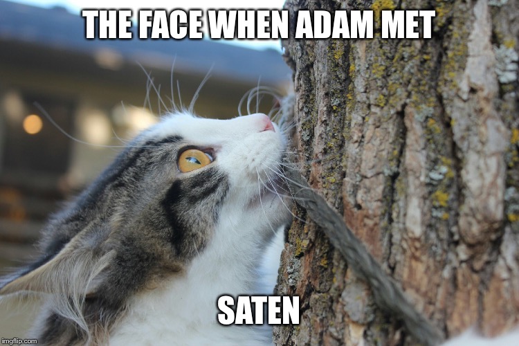 THE FACE WHEN ADAM MET; SATEN | image tagged in saten,bible,cat,funny,fear,the face when | made w/ Imgflip meme maker