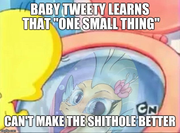 Princess Skystar in the Shithole | BABY TWEETY LEARNS THAT "ONE SMALL THING"; CAN'T MAKE THE SHITHOLE BETTER | image tagged in baby looney tunes,my little pony,princess skystar,shithole,tweety bird | made w/ Imgflip meme maker