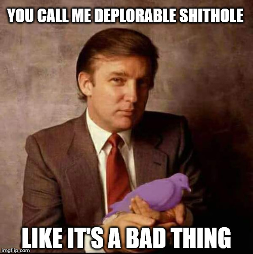 YOU CALL ME DEPLORABLE SHITHOLE; LIKE IT'S A BAD THING | image tagged in trump 2020,basket of deplorables,shithole,trash,dove | made w/ Imgflip meme maker