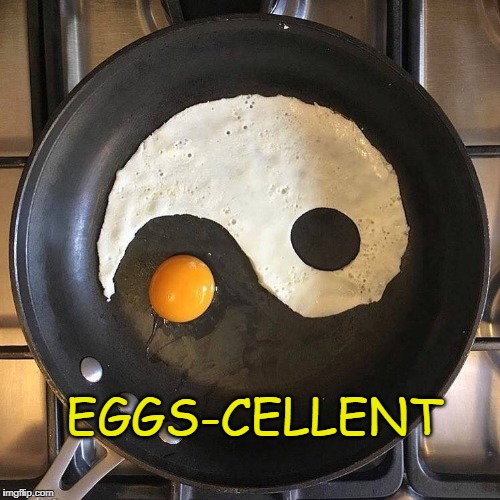 Cool | EGGS-CELLENT | image tagged in eggscellent,excellent,eggs | made w/ Imgflip meme maker