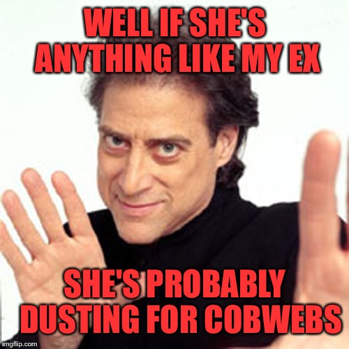 WELL IF SHE'S ANYTHING LIKE MY EX SHE'S PROBABLY  DUSTING FOR COBWEBS | made w/ Imgflip meme maker