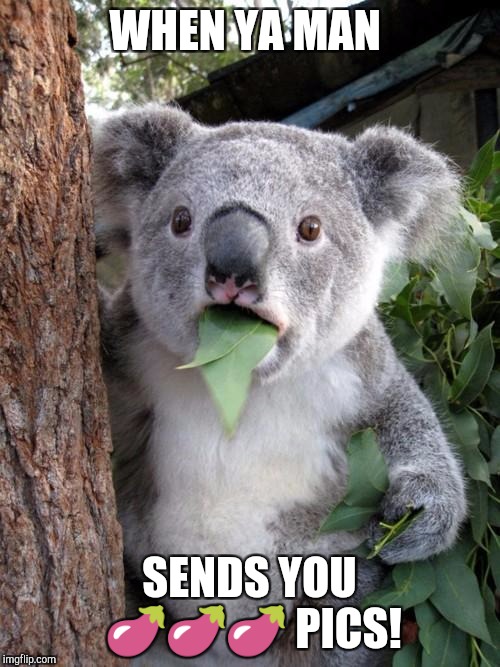 Surprised Koala | WHEN YA MAN; SENDS YOU 🍆🍆🍆 PICS! | image tagged in memes,surprised koala | made w/ Imgflip meme maker