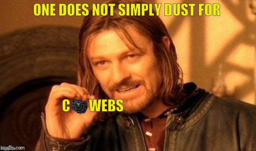 ONE DOES NOT SIMPLY DUST FOR C       WEBS | made w/ Imgflip meme maker
