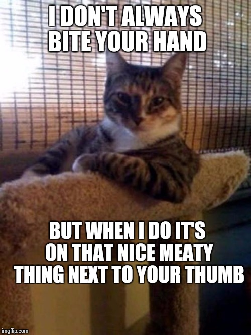 The Most Interesting Cat In The World Meme | I DON'T ALWAYS BITE YOUR HAND; BUT WHEN I DO IT'S ON THAT NICE MEATY THING NEXT TO YOUR THUMB | image tagged in memes,the most interesting cat in the world | made w/ Imgflip meme maker