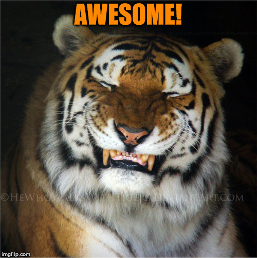 AWESOME! | made w/ Imgflip meme maker