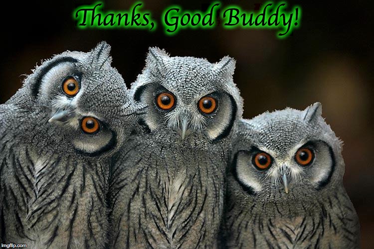 Thanks, Good Buddy! | made w/ Imgflip meme maker