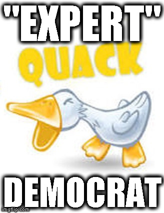 Fake experts | "EXPERT"; DEMOCRAT | image tagged in democrat fake,fake news,fake experts,con-men | made w/ Imgflip meme maker