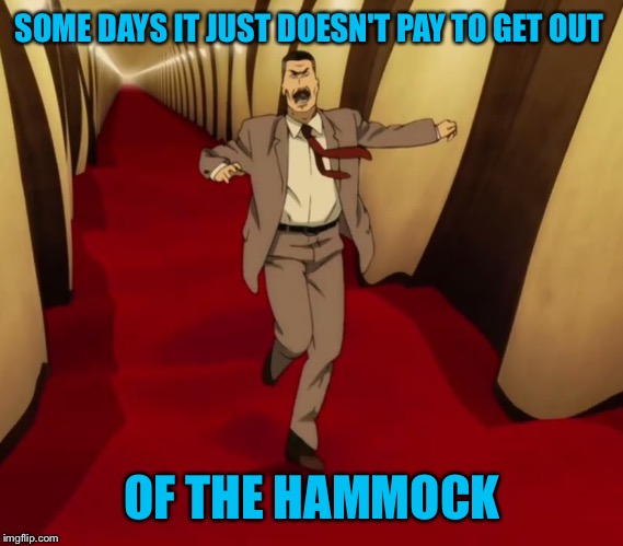 SOME DAYS IT JUST DOESN'T PAY TO GET OUT OF THE HAMMOCK | made w/ Imgflip meme maker