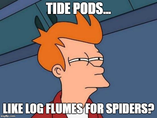 Futurama Fry Meme | TIDE PODS... LIKE LOG FLUMES FOR SPIDERS? | image tagged in memes,futurama fry | made w/ Imgflip meme maker