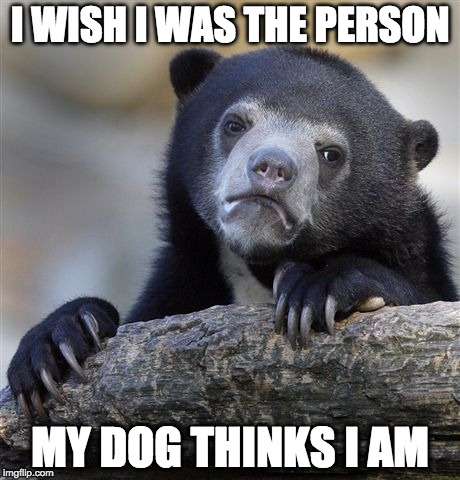 Though my cat looks down at me. | I WISH I WAS THE PERSON; MY DOG THINKS I AM | image tagged in memes,confession bear,dog,cat | made w/ Imgflip meme maker