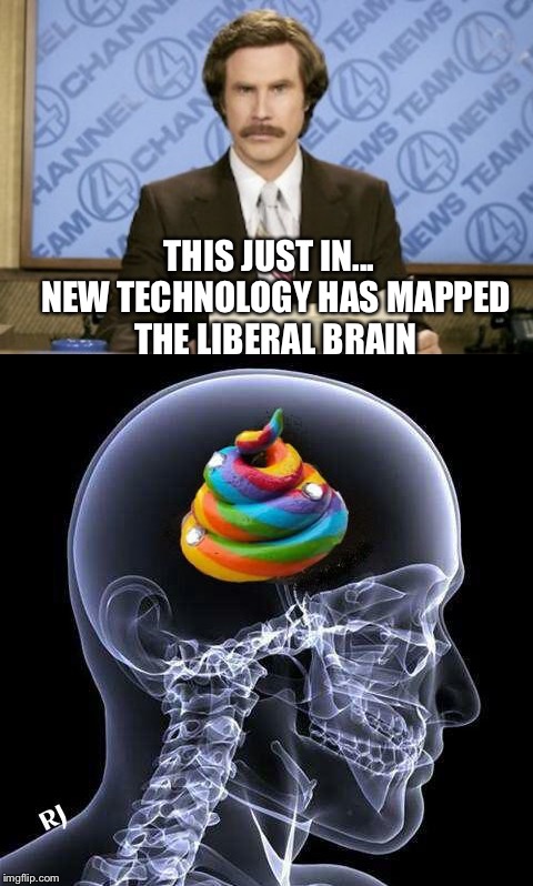 THIS JUST IN...  NEW TECHNOLOGY HAS MAPPED THE LIBERAL BRAIN | image tagged in memes | made w/ Imgflip meme maker