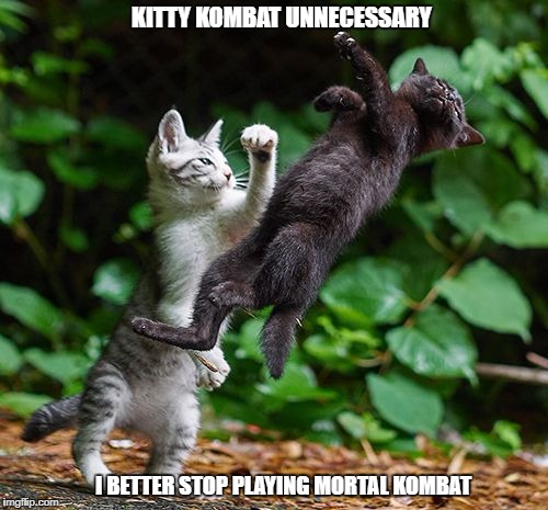 Mortal Kombat | KITTY KOMBAT UNNECESSARY; I BETTER STOP PLAYING MORTAL KOMBAT | image tagged in mortal kombat | made w/ Imgflip meme maker