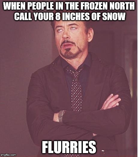 Face You Make Robert Downey Jr Meme | WHEN PEOPLE IN THE FROZEN NORTH CALL YOUR 8 INCHES OF SNOW FLURRIES | image tagged in memes,face you make robert downey jr | made w/ Imgflip meme maker