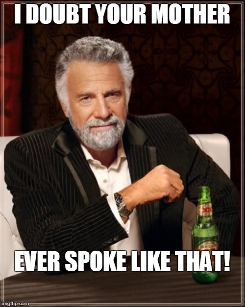 The Most Interesting Man In The World Meme | I DOUBT YOUR MOTHER EVER SPOKE LIKE THAT! | image tagged in memes,the most interesting man in the world | made w/ Imgflip meme maker
