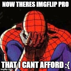 sad prices | NOW THERES IMGFLIP PRO; THAT I CANT AFFORD :{ | image tagged in memes,sad spiderman,spiderman | made w/ Imgflip meme maker