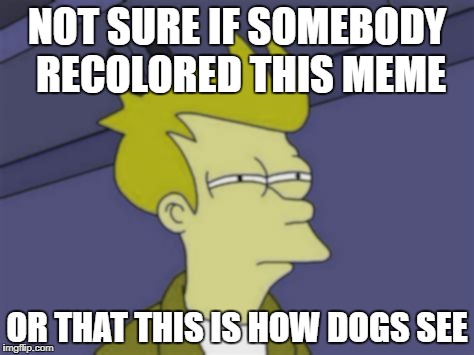 NOT SURE IF SOMEBODY RECOLORED THIS MEME; OR THAT THIS IS HOW DOGS SEE | image tagged in fry in dog vision | made w/ Imgflip meme maker