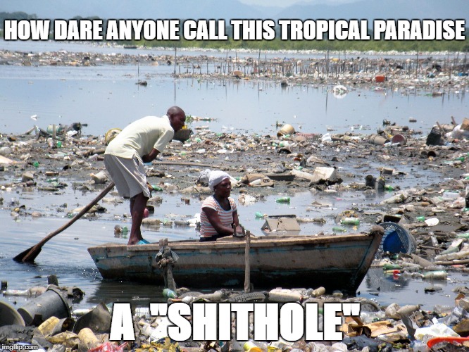Dems can't handle the truth | HOW DARE ANYONE CALL THIS TROPICAL PARADISE; A  "SHITHOLE" | image tagged in haitian shthole | made w/ Imgflip meme maker