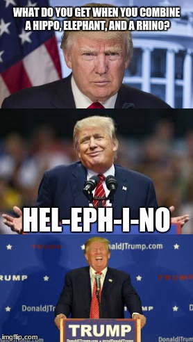 #PundayMonday, post your puns of the day | WHAT DO YOU GET WHEN YOU COMBINE A HIPPO, ELEPHANT, AND A RHINO? HEL-EPH-I-NO | image tagged in bad pun trump,funny memes | made w/ Imgflip meme maker